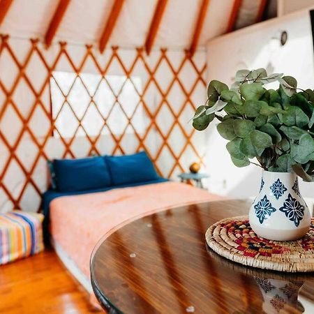 Heated & Ac Yurt Villa Penn Yan Exterior foto